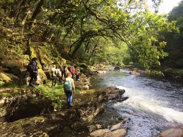 A group walking in single file along a rocky riverbank under green trees